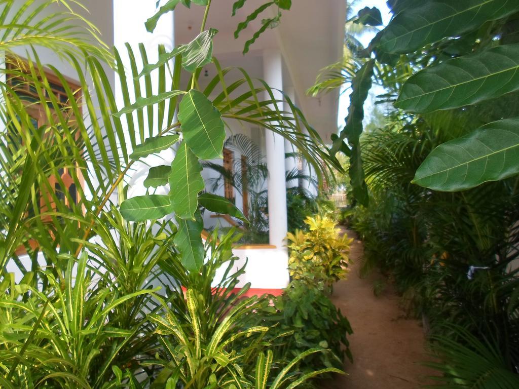 Surf & Sand Hotel Arugambay Arugam Bay Buitenkant foto