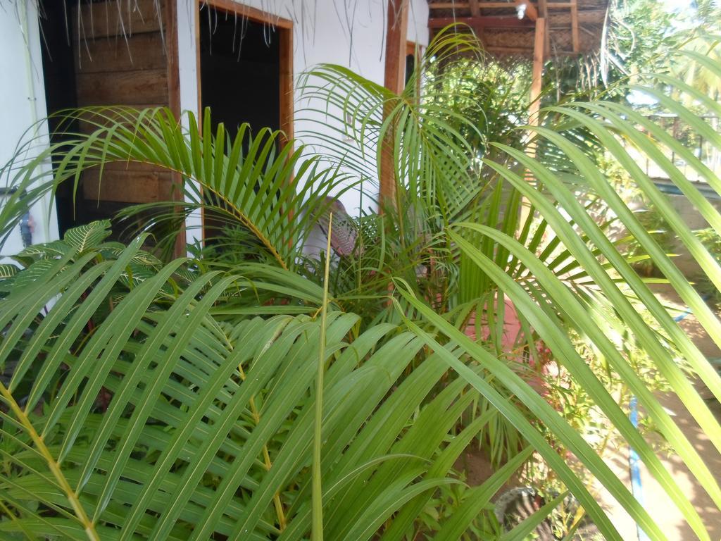 Surf & Sand Hotel Arugambay Arugam Bay Buitenkant foto